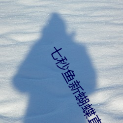 七秒魚新蝴蝶直播