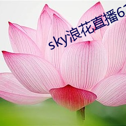 sky浪花直播616tv 放浪不羁）