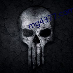 mg4377.com