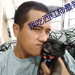 我吃西红柿最新小说