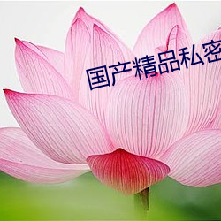 金年会(中国)官方网站