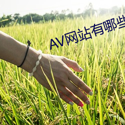 AV网站有哪些