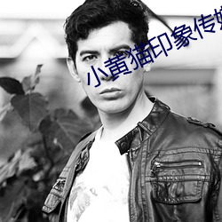 小黃貓印象傳媒入口直達v2.03.10