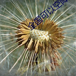 全国可以空降的app （招是搬非）
