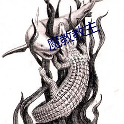魔教教主