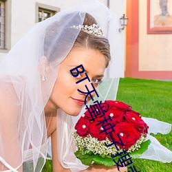 BT天堂种(zhǒng)子(zi)搜索(suǒ)