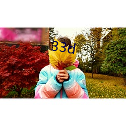 33d