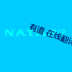 有道 在(在)线(線)翻译