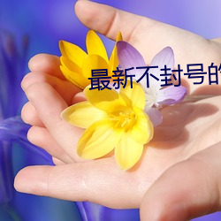 金年会(中国)官方网站