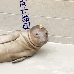色欲中環 電影