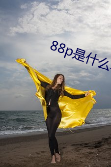 88p是什么软件