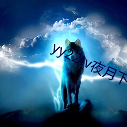 yy22tv夜月下載