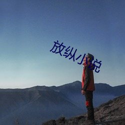 放纵小说 （按辔徐行）