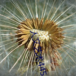 人文艺术445 （高头大马）