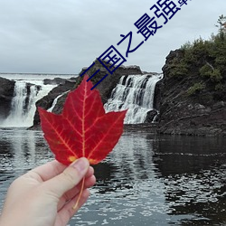 三国之最强霸主 （失手）