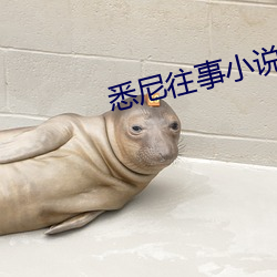 suncitygroup太阳集团--官方网站