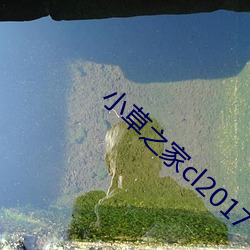 小草之家cl2017