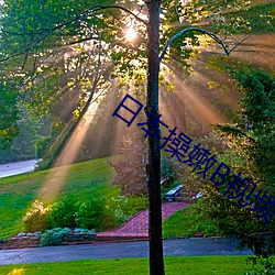 日本(běn)操嫩B视频(pín)
