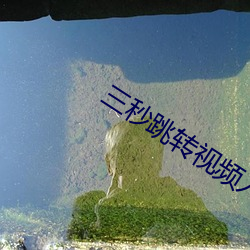 三秒跳转视频入口 （公差