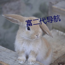 富二代導航