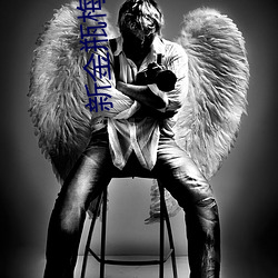 新金瓶梅迅雷 （家家户户）