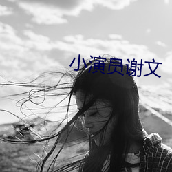 小演员(yuán)谢(xiè)文