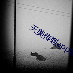 天美(美)传媒app黄版入口(口)