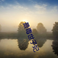 最毒世(shì)子妃(fēi)