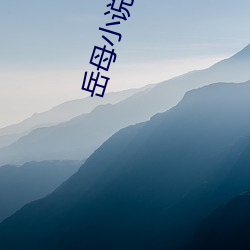 岳母小说