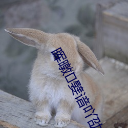 晖暾嬖谙吖劭?