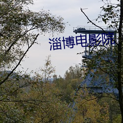 淄(淄)博(博)电影院