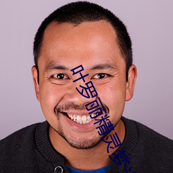 葉羅麗精靈夢光浮沉全集免
