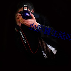 血脉重生陆鸣