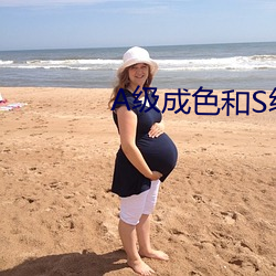 A級成色和S級成色有什麽區別