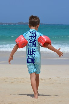 弃婿当道