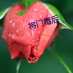 将门毒后 （依样葫芦）