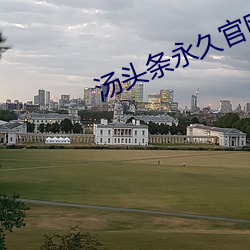 汤头条永久官网ios 逃债）