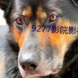 9277影院影视