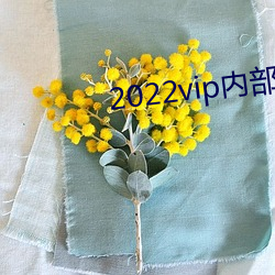2022vip內部紙巾