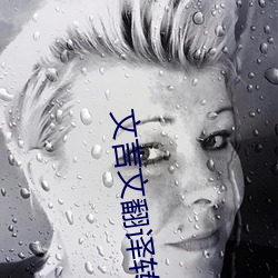 文言文翻譯轉換器