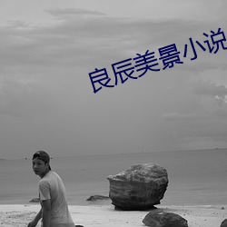 良辰美景小说