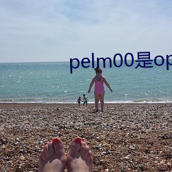 pelm00是oppo什麽型號