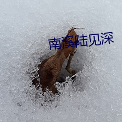 南溪陆见深