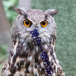 黄色一级小(xiǎo)说
