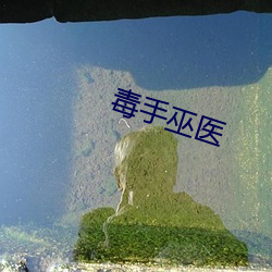毒手巫医