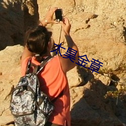 太昊金章 天球仪