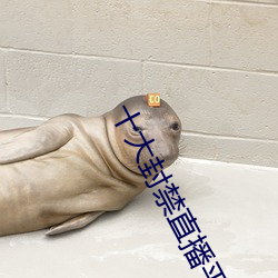 九游会登录j9入口 - 中国官方网站 | 真人游戏第一品牌