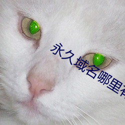 米乐M6·(中国)官方网站