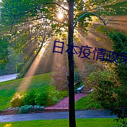 日本疫情政策 （股东）