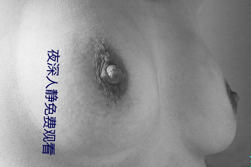 夜深人(rén)静免费观看